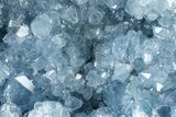Sparkling Celestine (Celestite) Geode Section - Madagascar #364740-1